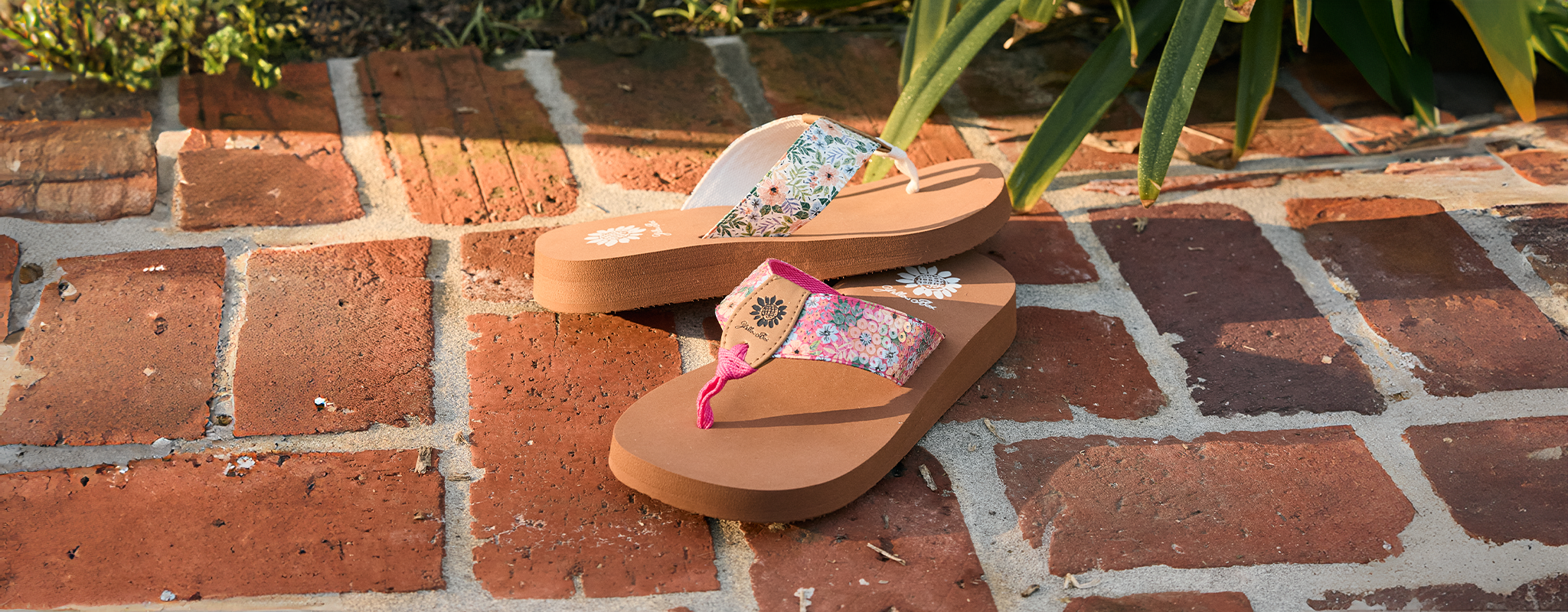 Signature Yellow Box EVA