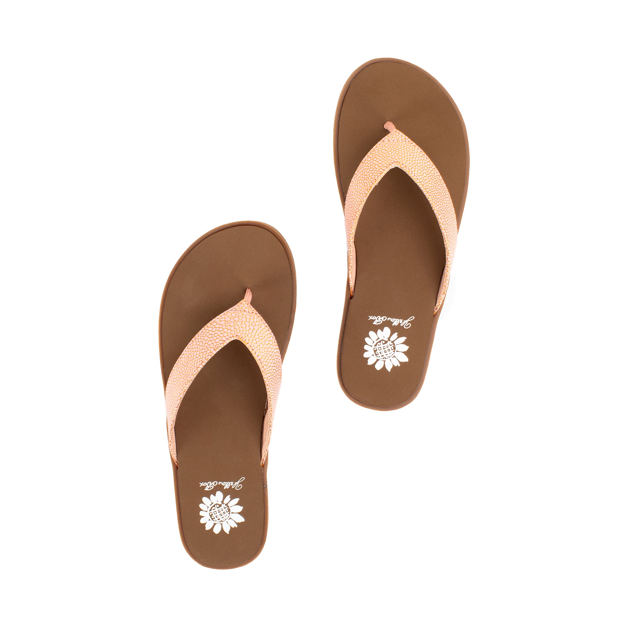 Fanzie Flip Flop Sandal Yellow Box Official Site