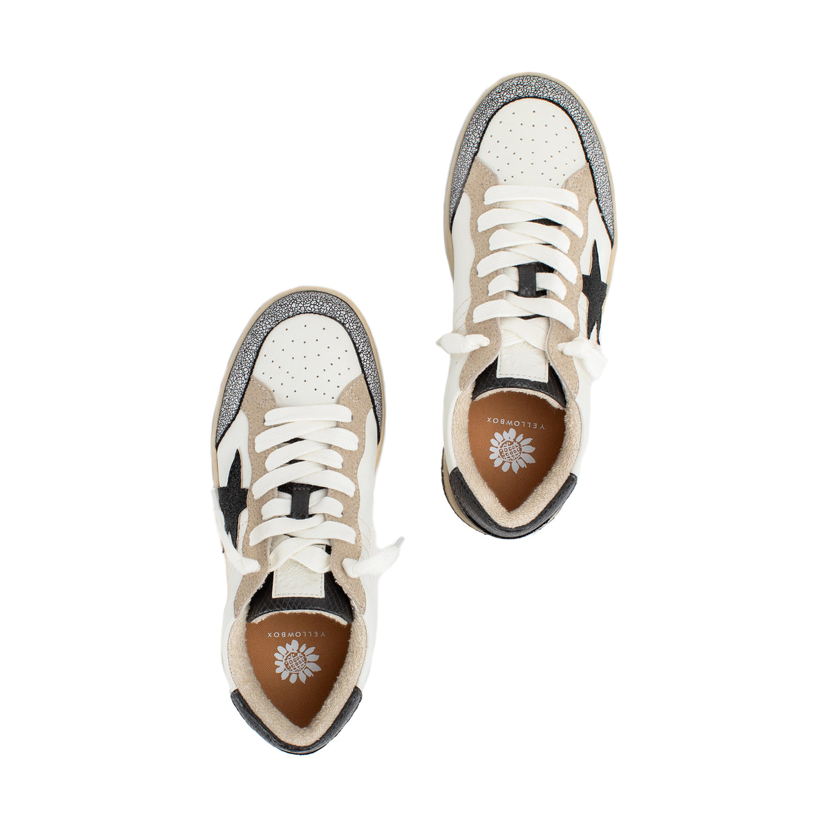 Yellowbox Oberlin Classic Sneaker in BLACK