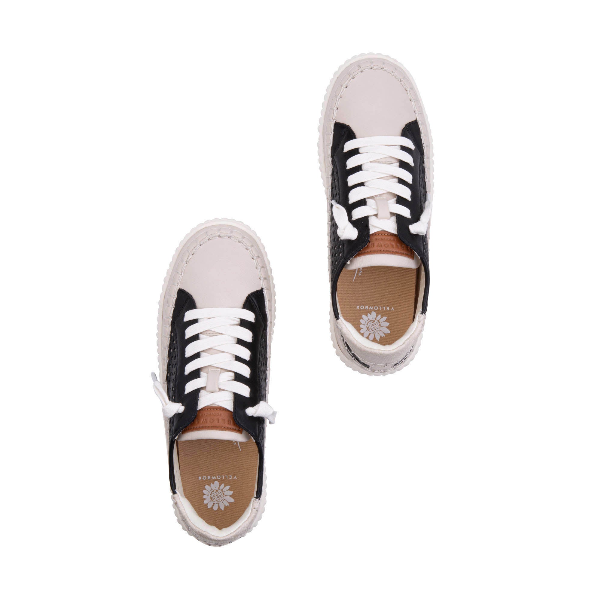 Mazal Perf Sneaker | Yellow Box Official Site – YELLOW BOX FOOTWEAR