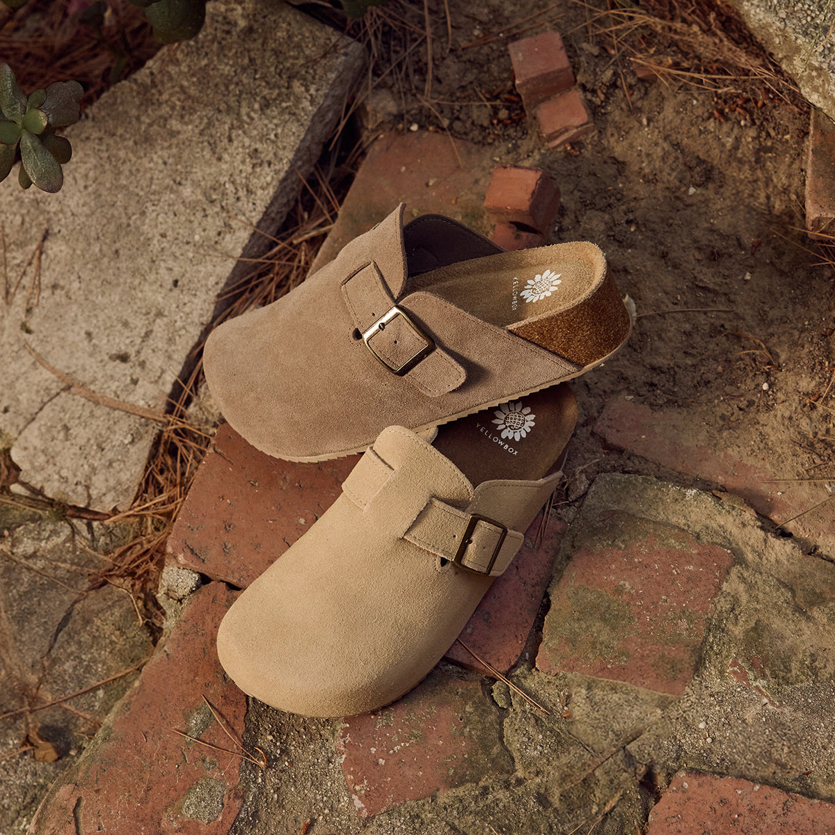 Maire Flatform Clog | Yellow Box Official Site – YELLOW BOX FOOTWEAR