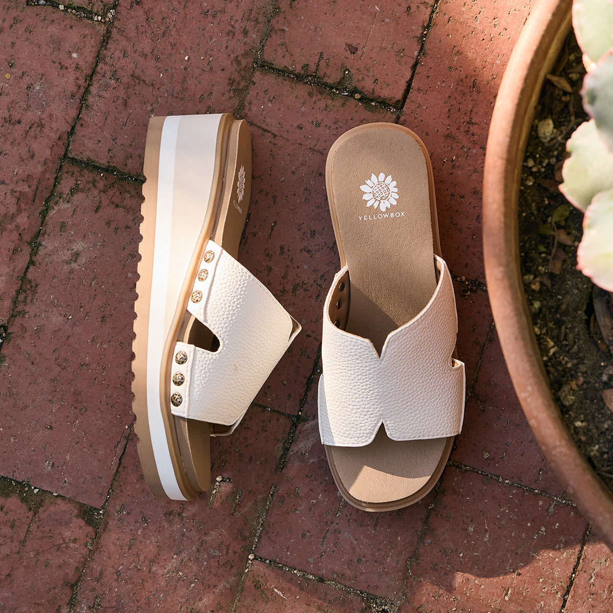 Fascell Flip Flop | Yellow Box Official Site – YELLOW BOX FOOTWEAR