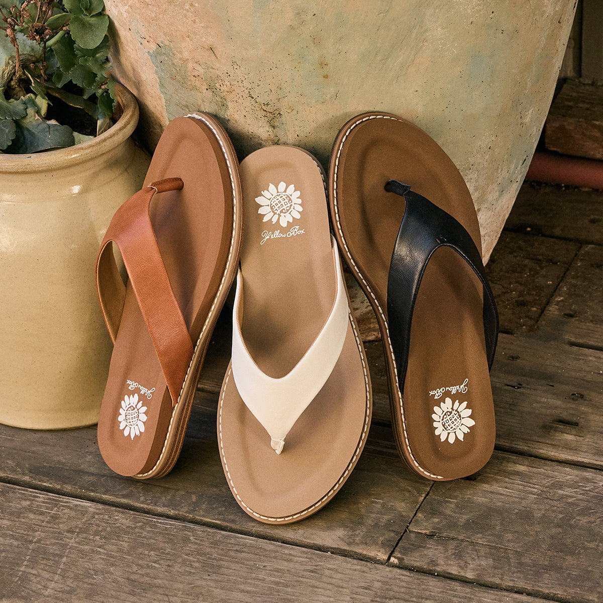 Cielo Sandal | Yellow Box Official Site – YELLOW BOX FOOTWEAR