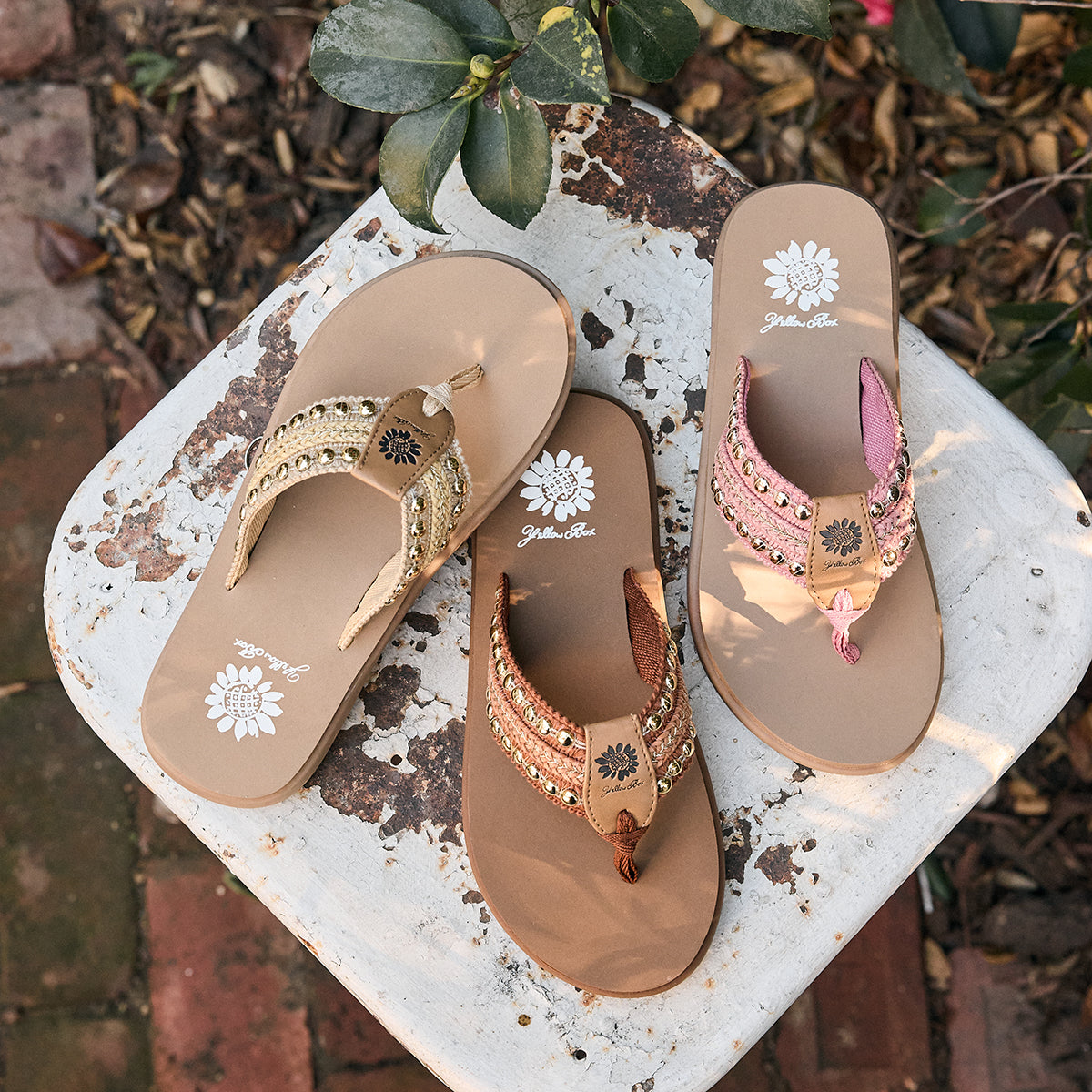 Genevia Sandal | Yellow Box Official Site – YELLOW BOX FOOTWEAR