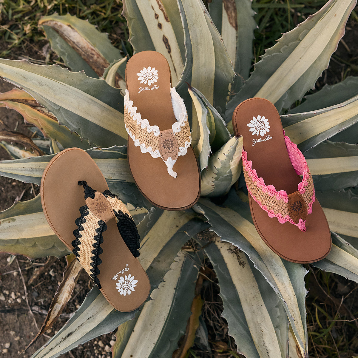 Irina Raffia sandal | Yellow Box Official Site – YELLOW BOX FOOTWEAR